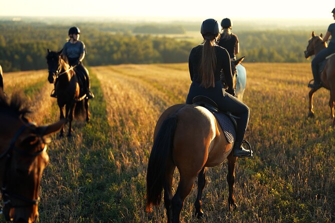 Horseback Riding in the Landscape - Riding for 1 to 1.5 hours through Jõgevamaa