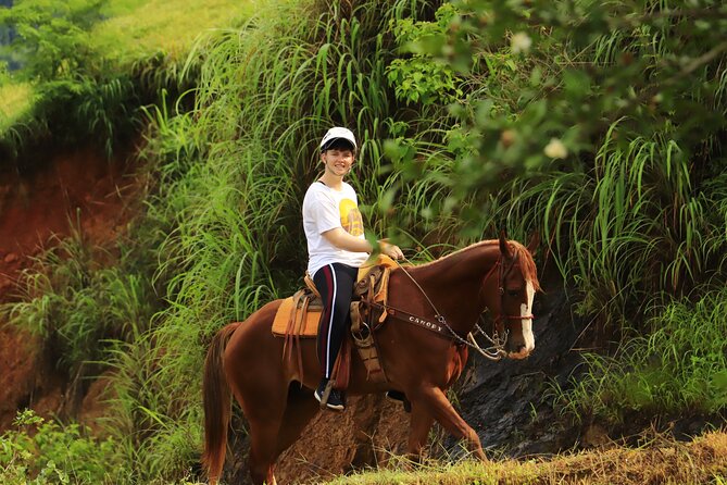 Horseback riding in the mountains of Puerto Vallarta - Flora, fauna, and the feel of the trail
