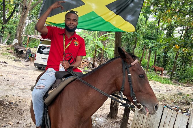 Horseback Riding In The Ocean from Montego Bay Private Transfer - From Montego Bay to St Ann’s Bay