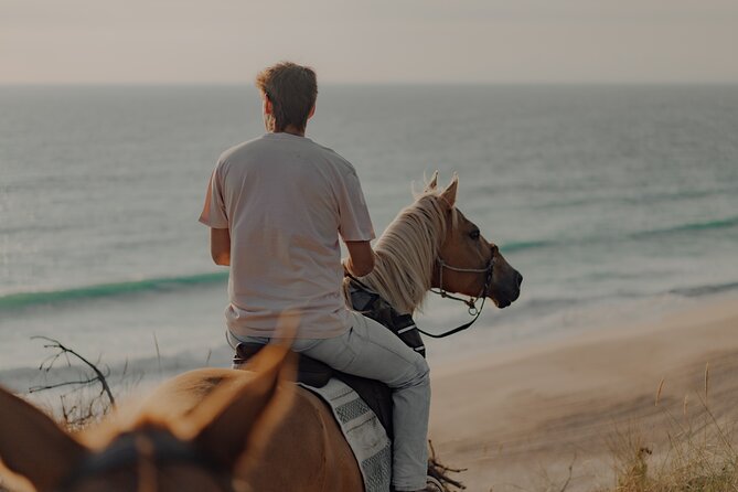Horseback Riding In The Sand Dunes of Praia do Meco | LITS Horses - Why Praia do Meco makes this ride special