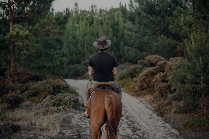 Horseback Riding In The Sand Dunes of Praia do Meco | LITS Horses - Summer sunsets or quiet winter beaches