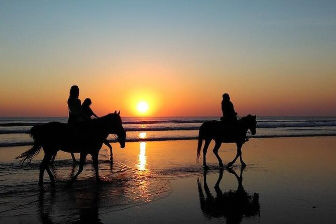 Horseback Riding in the sunset of Famara Beach, Lanzarote, Spain - Key points to know before booking