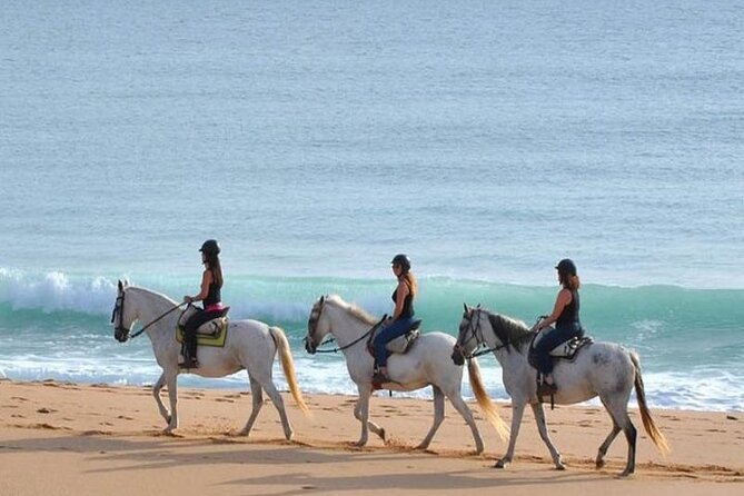 Horseback Riding in the sunset of Famara Beach, Lanzarote, Spain - What is included, and what you still need to plan