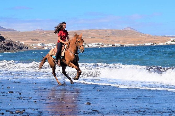 Horseback Riding in the sunset of Famara Beach, Lanzarote, Spain - Who will enjoy this most?