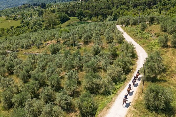 Horseback Riding in the Vineyards - What makes Torre a Cona a worthwhile stop