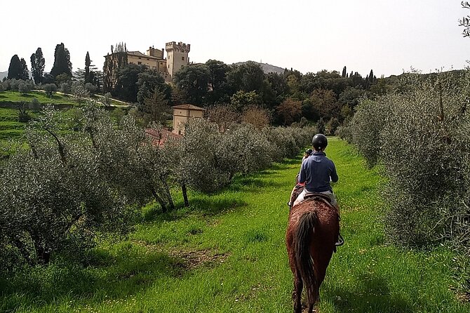 Horseback Riding in the Vineyards - Is $96.12 a fair price?