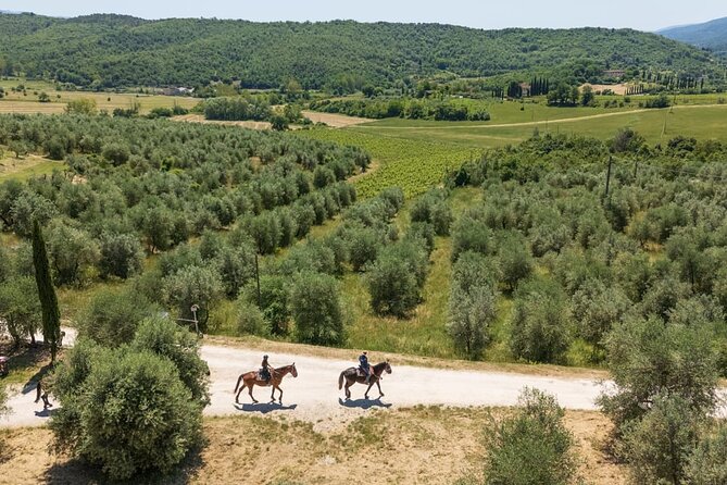 Horseback Riding in the Vineyards - Who will enjoy this ride most?