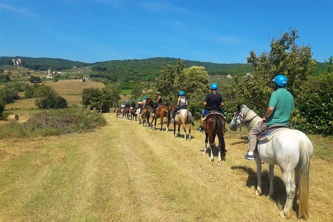 Horseback Riding in the Vineyards - What to wear and bring