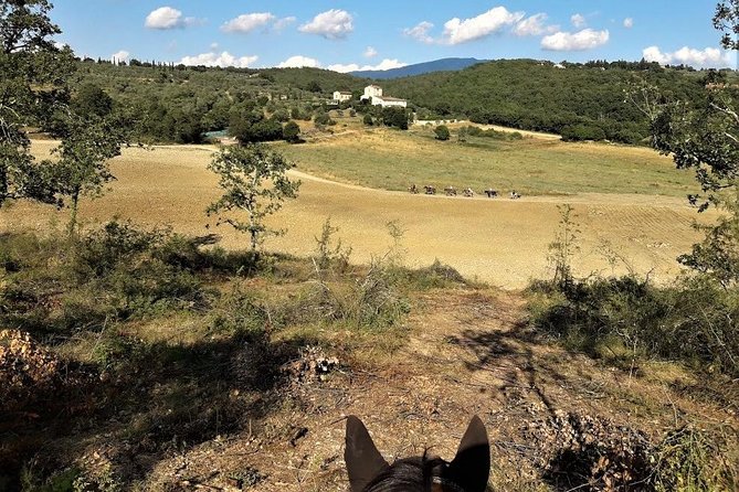Horseback Riding in the Vineyards - Booking, cancellation, and timing