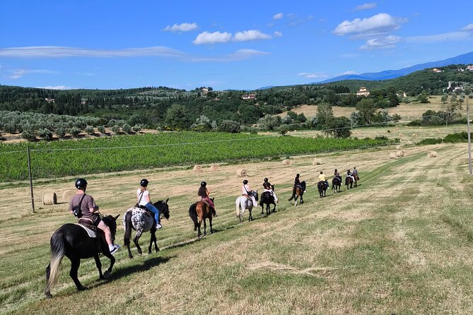 Horseback Riding in the Vineyards - One hour through vineyards, olive groves, and woods