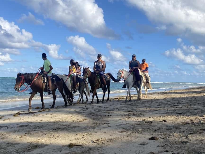 Horseback Riding Macao Beach Experience Paradise onHorseback - Riding from Punta Cana toward Playa Macao