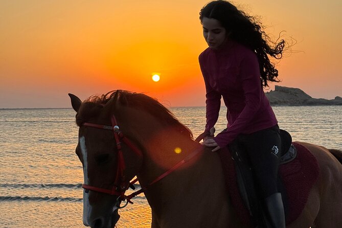 Horseback Riding Muscat Beach - A gentle start for first-time riders