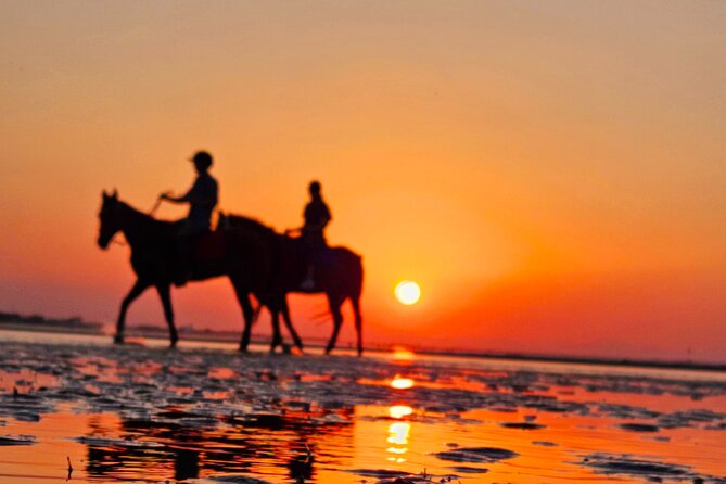 Horseback Riding Muscat Beach - The best views come at sunrise and sunset