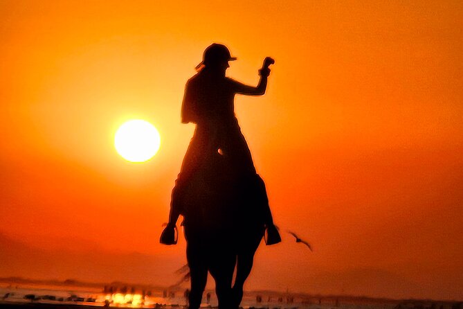 Horseback Riding Muscat Beach - Is $76.66 a fair price?