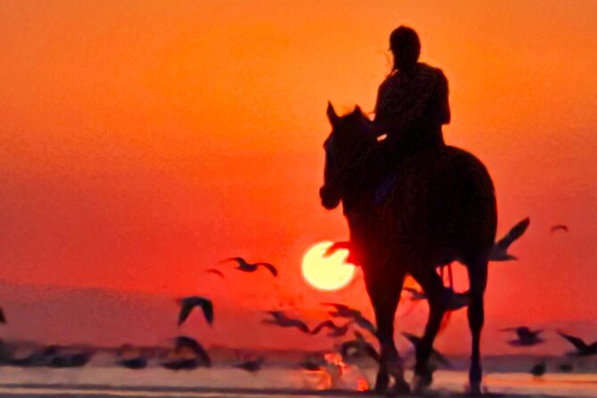 Horseback Riding Muscat Beach - Who will enjoy this most