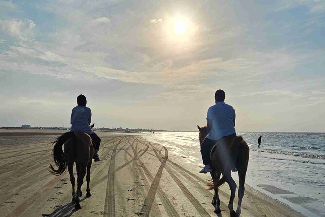 Horseback Riding Muscat Beach - Walking, trotting, and possible galloping