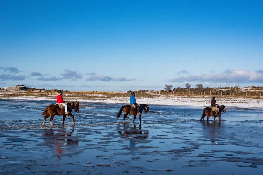 Horseback Riding near Strait of Magellan - Key points to know before you book