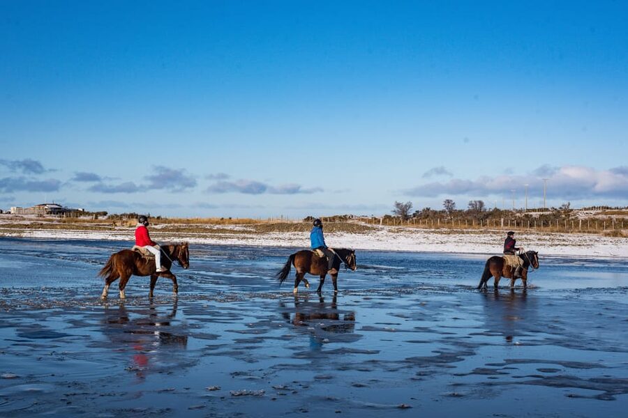Horseback Riding near Strait of Magellan - Wildlife, plants, and a slower pace