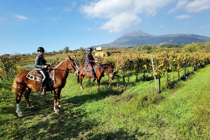 Horseback Riding on Mt. Vesuvius with Wine Tasting and Dinner - Key points at a glance