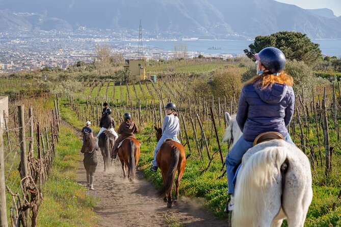 Horseback Riding on Mt. Vesuvius with Wine Tasting and Dinner - Why this Vesuvius outing feels different