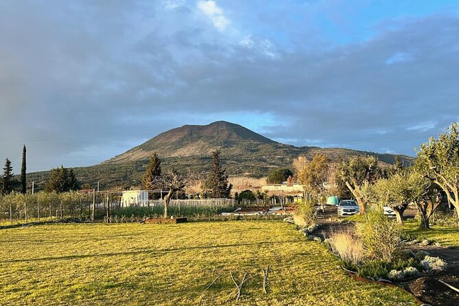 Horseback Riding on Mt. Vesuvius with Wine Tasting and Dinner - A local meal and wine pairing