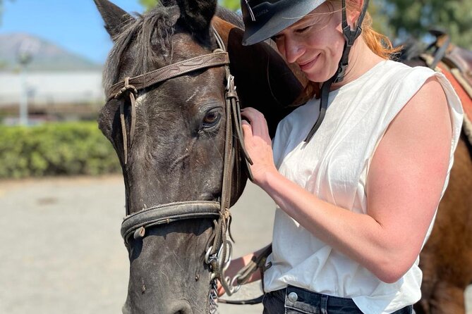 Horseback Riding on Mt. Vesuvius with Wine Tasting and Dinner - What the $170.37 price includes