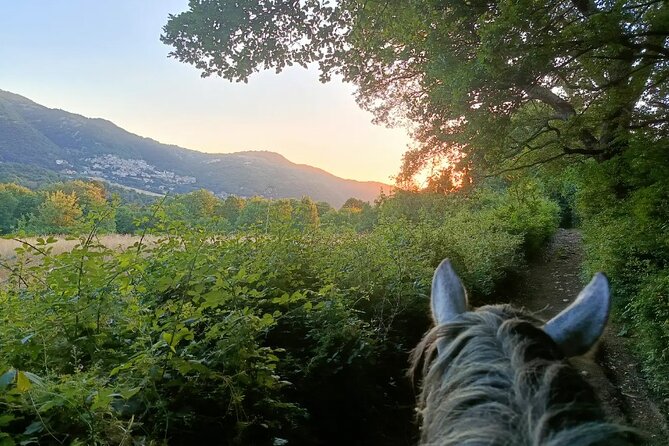 Horseback Riding on Mt. Vesuvius with Wine Tasting and Dinner - The people who make the outing work