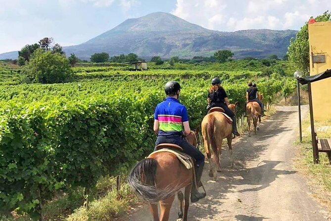 Horseback Riding on Mt. Vesuvius with Wine Tasting and Dinner - Who should book this experience