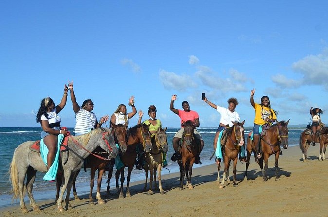 Horseback Riding on Puerto Plata - What the 90-Minute Route Feels Like