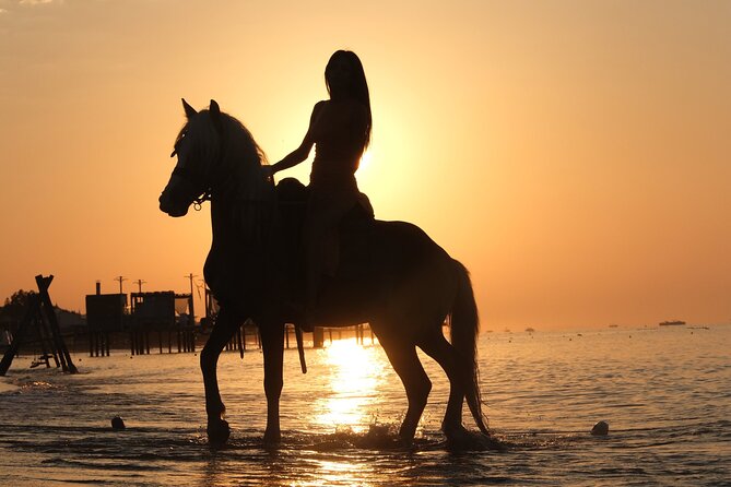 Horseback Riding on the Beach and through the Forest - The forest adds a quieter change of pace