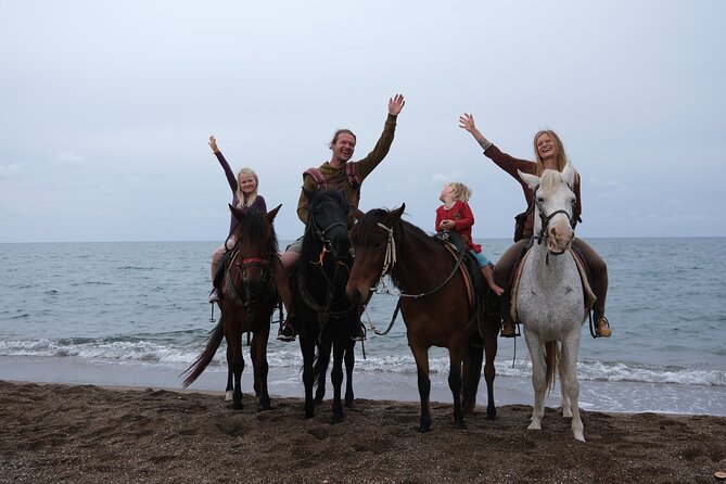 Horseback Riding on the Beach and through the Forest - Hotel pickup keeps the outing simple