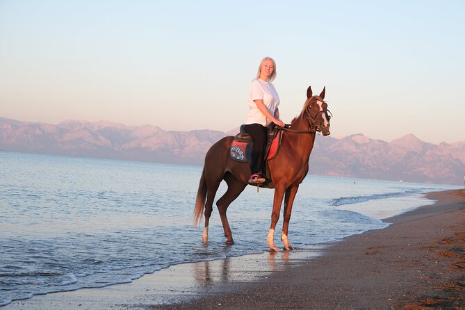 Horseback Riding on the Beach and through the Forest - Is $60.49 a fair price?