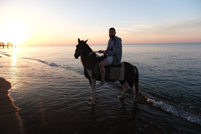 Horseback Riding on the Beach and through the Forest - What the beginner setup means for you