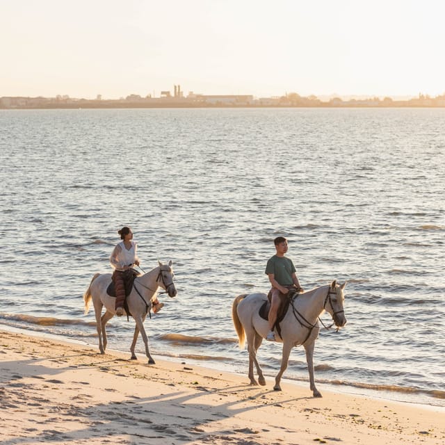 Horseback Riding On The Beach At Sunset - Key points before you book