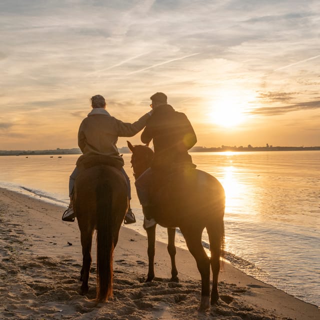 Horseback Riding On The Beach At Sunset - Starting at Pátio do Tejo