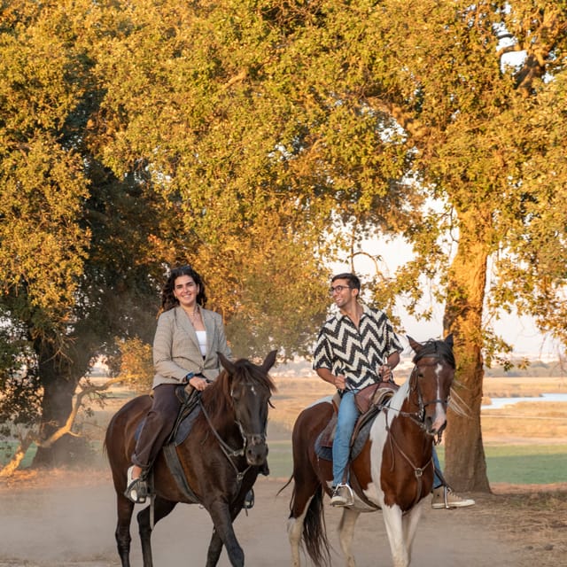 Horseback Riding On The Beach At Sunset - Riding down to the river beach