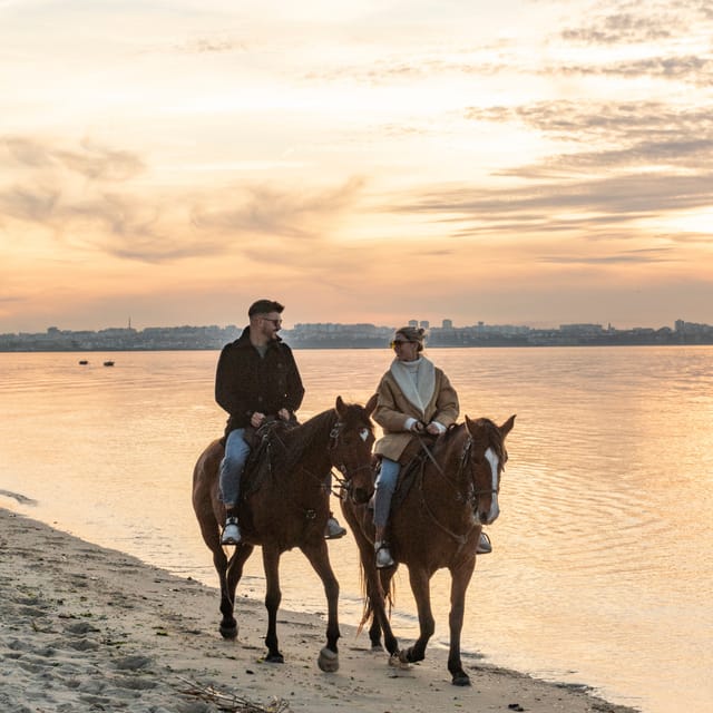 Horseback Riding On The Beach At Sunset - Calm horses and a carefully controlled pace