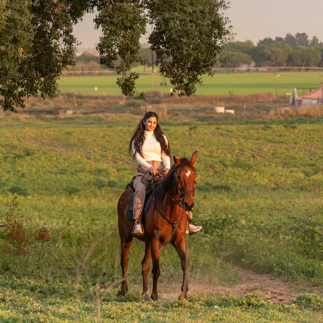 Horseback Riding On The Beach At Sunset - What $153 buys you