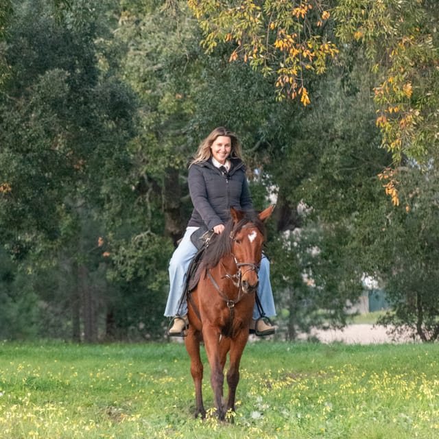Horseback Riding On The Beach At Sunset - Who will enjoy this most