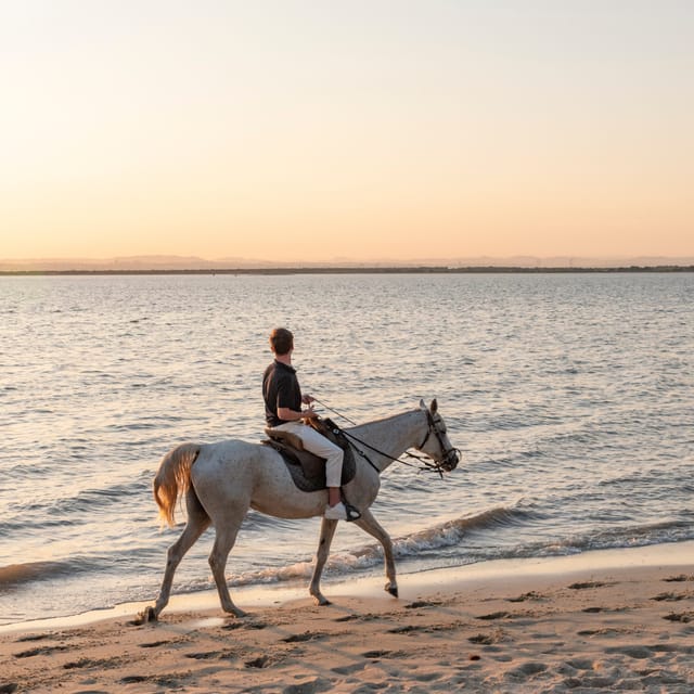 Horseback Riding On The Beach At Sunset - Practical tips for a smoother ride