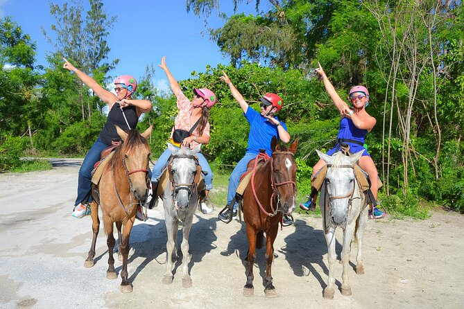 Horseback Riding on the Beach Free Transportation - Choosing a horse and meeting the guide