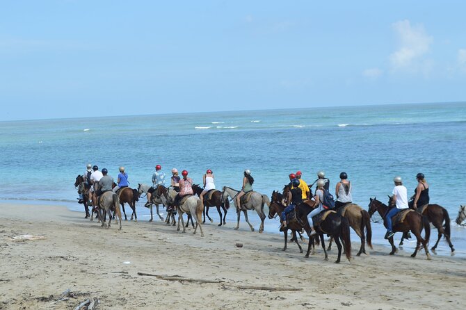 Horseback Riding on the Beach Free Transportation - Who will enjoy this most