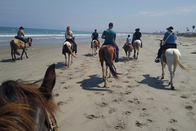 Horseback Riding on the Beach from Ensenada - Who should book this ride