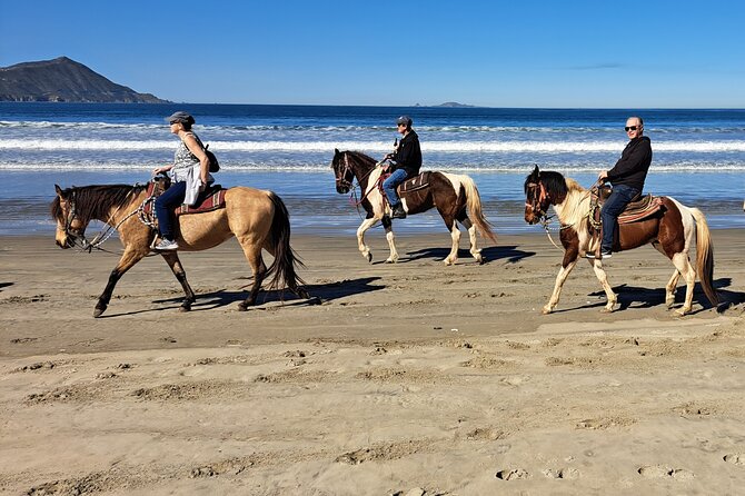 Horseback Riding on the Beach from Ensenada - Weather, pace, and the small drawbacks