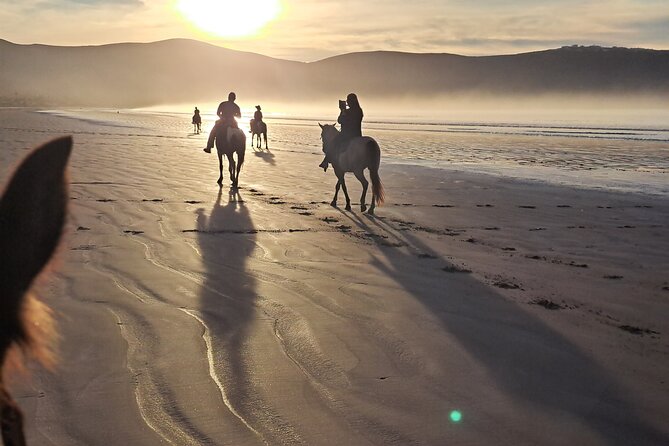 Horseback Riding on the Beach from Ensenada - Booking, cancellation, and timing advice