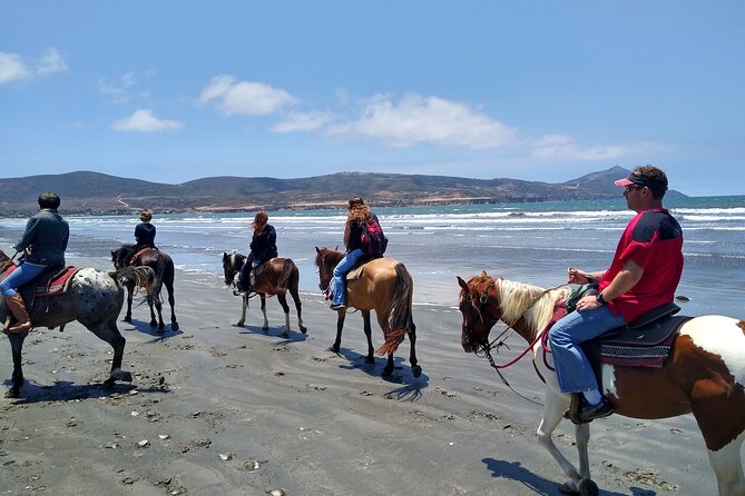 Horseback Riding on the Beach from Ensenada - Ninety minutes beside a quiet beach