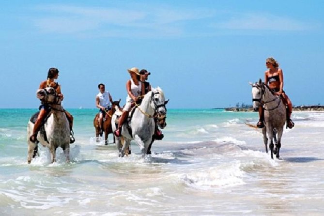 Horseback Riding on the Beach in Punta Cana (One Hour) - Riding from the forest to Bavaro Beach