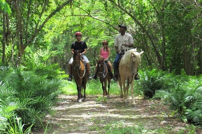 Horseback Riding on the Beach in Punta Cana (One Hour) - How much time you actually get