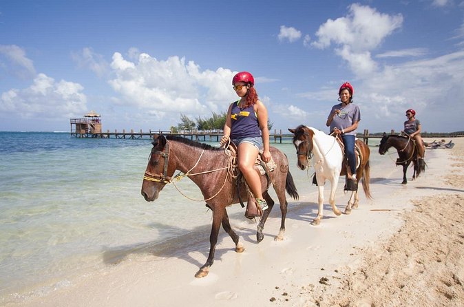 Horseback Riding on the Beach in Punta Cana (One Hour) - Who will enjoy this Punta Cana ride