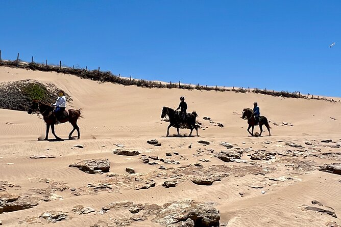 Horseback Riding On The Beach Of Essaouira - Photos, videos, and personal service